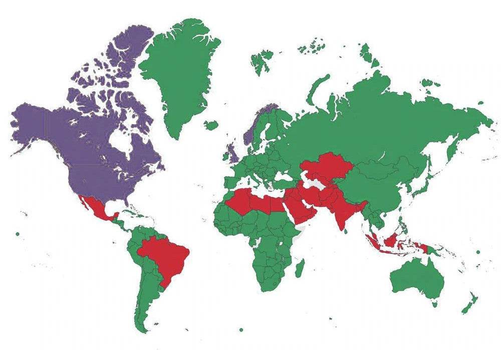 2021 Legal Status of Sex Dolls in Every Country - Rose Wives