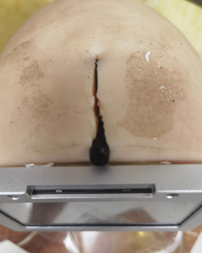 RWD-#1144 - Rose Wives